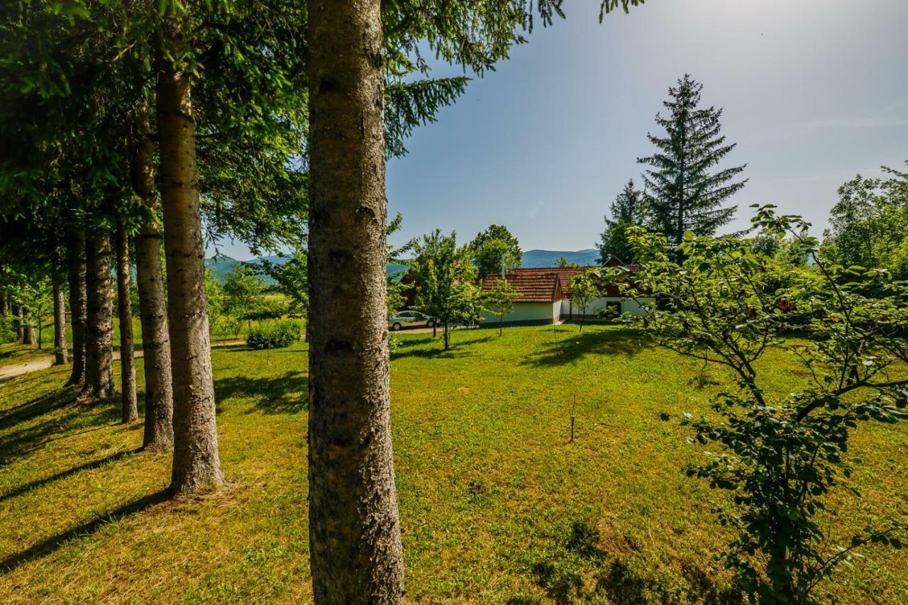 Beautiful Cottage With Heated Pool For 22 Ppl Plaski Bagian luar foto