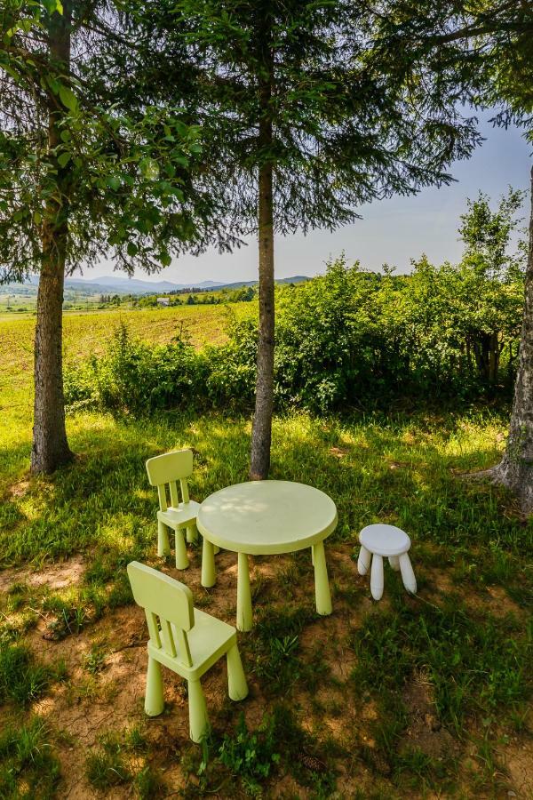 Beautiful Cottage With Heated Pool For 22 Ppl Plaski Bagian luar foto