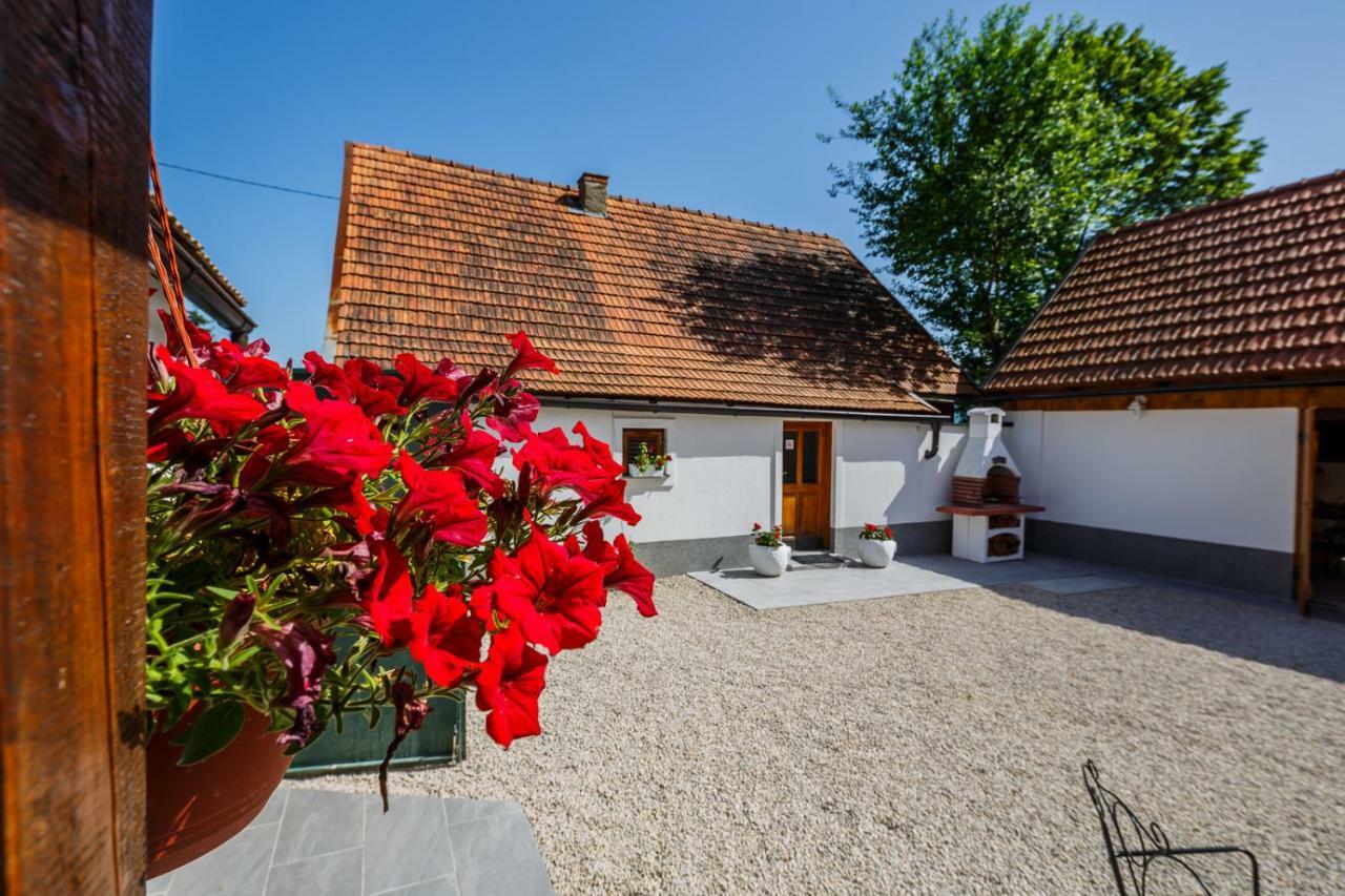 Beautiful Cottage With Heated Pool For 22 Ppl Plaski Bagian luar foto